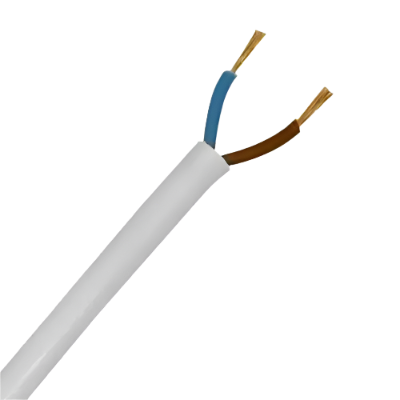 Bulb