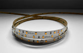 elite led